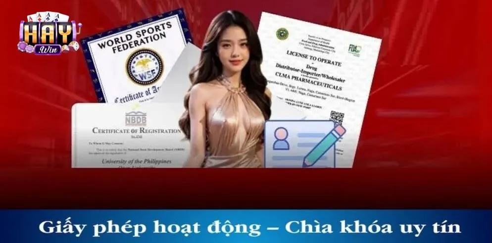 Tổng quan về giấy phép hoạt động từ nhà cái HAYWIN