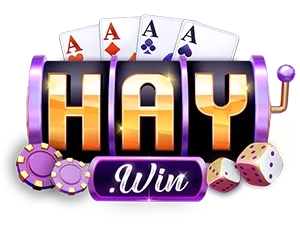 haywinn.io